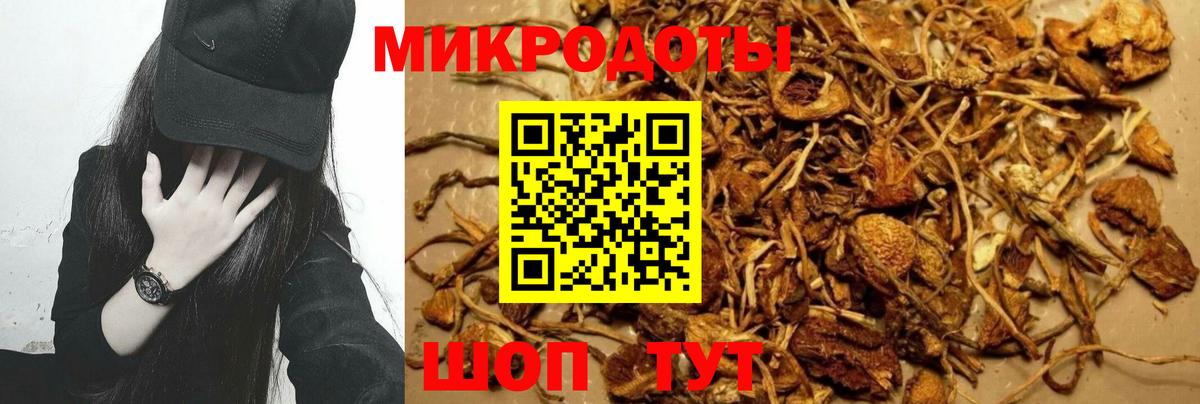 Наро-Фоминск  Псилоцибиновые грибы Cubensis  Вход с VPN 